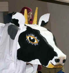 Kuh36.jpg (29310 Byte)